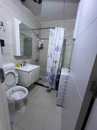 a bathroom with a toilet and a sink and a shower at Apartment Oriku - Prishtinë in Prishtinë