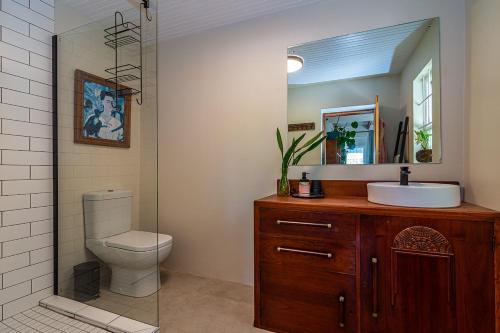 a bathroom with a toilet and a sink and a mirror at Casa Querida in Stanford