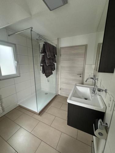 a bathroom with a shower and a sink at Ferienhaus Auf der Drossel in Gevelsberg