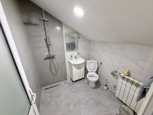 a bathroom with a shower and a toilet and a sink at Taverna to Petrino in Craiova