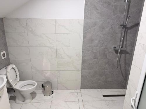 a bathroom with a shower and a toilet at Taverna to Petrino in Craiova