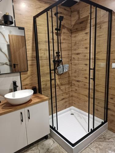 a shower stall in a bathroom with a sink at Agroturystyka nad potokiem in Domaszków