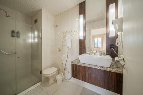 a bathroom with a sink and a toilet and a shower at Hotel Prinz - PRZ000 in Joinville