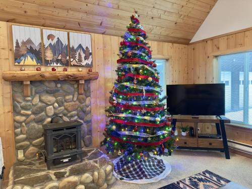 TV a/nebo společenská místnost v ubytování Pine River Retreat home