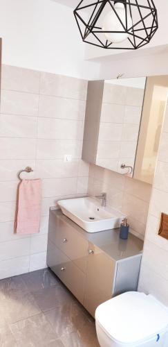 een badkamer met een wastafel en een toilet bij ApartDecebal in Craiova