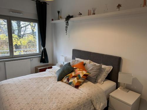 une chambre avec un lit avec des oreillers et une fenêtre dans l'établissement Le beau Strasbourg, à Strasbourg