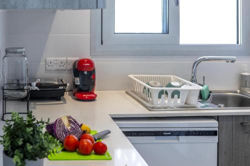 拉纳卡Majestic Sunset Salt Lake Views 300m From Beach的厨房柜台在切板上设有水槽和蔬菜
