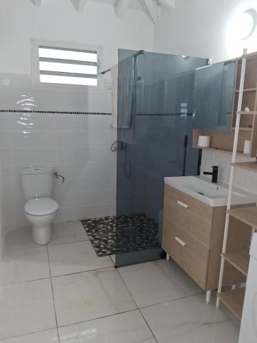 a bathroom with a toilet and a shower and a sink at Sapotille sucrée in Sainte-Rose