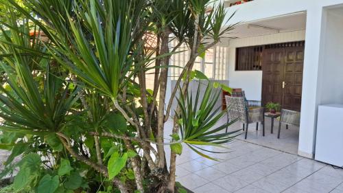 Zahrada ubytování Oasis de Suzini