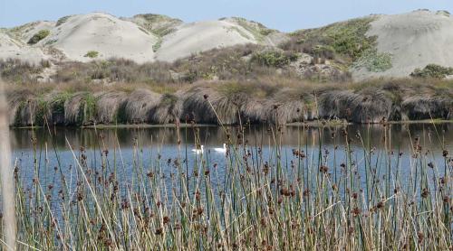 アパートホテルの近くで見られる自然の景観