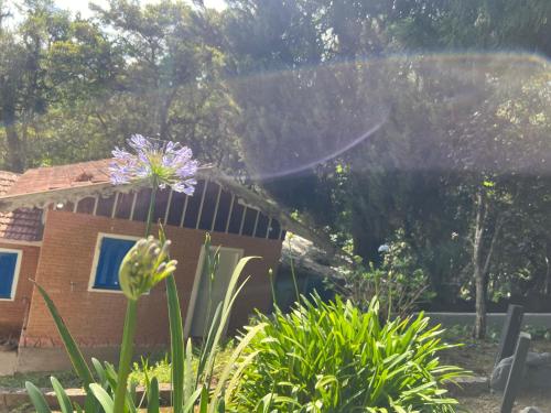 حديقة خارج Pousada Sonho Meu - Conforto e Tranquilidade!