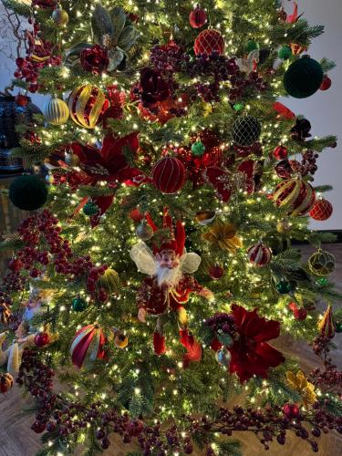 Φωτογραφία από το άλμπουμ του Balancyoga Guesthouse σε Ash