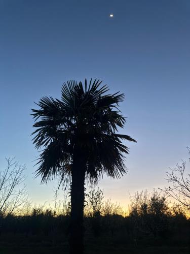 Complejo de Cabañas Quintana Cochera Cocina Wifi Smartv Aire Acondicionado