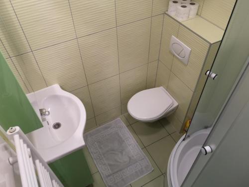 a small bathroom with a toilet and a sink at Apartmani Vukadin in Jahorina
