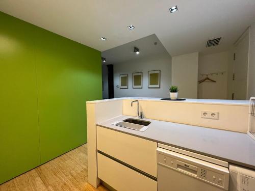 eine leere Küche mit grünen Wänden und einer Spüle in der Unterkunft Modern & Cozy flat in Center Granada in Granada