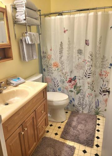 a bathroom with a toilet and a shower curtain at Wildwood Estates in Lynchburg