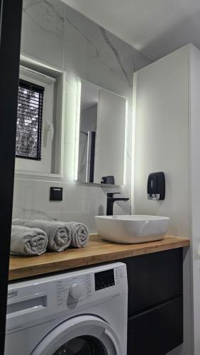 a bathroom with a washing machine and a sink at Anpol in Inowrocław