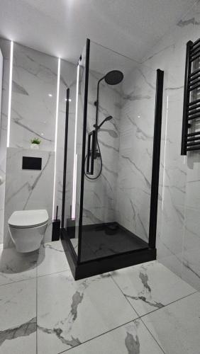 Anpol的一间浴室