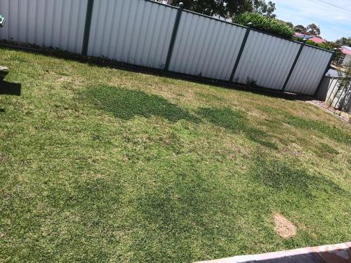 Omann Cottage外面的花园