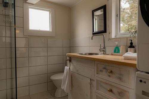 um banheiro com pia e vaso sanitário em Paddys Shack - the bush spa! em St Helens