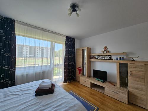 Postel nebo postele na pokoji v ubytování Elena's Studio Brasov