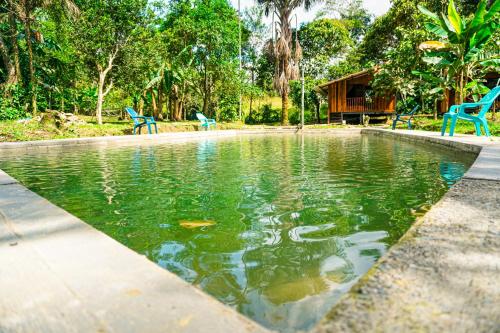 Phong cảnh thiên nhiên gần the country house