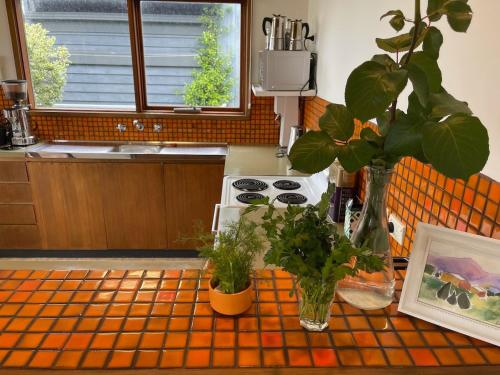 een keuken met een aanrecht met planten erop bij Lorne Beach House in Lorne