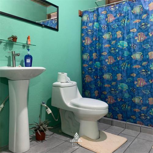 a bathroom with a toilet and a shower curtain at Cinnamon Lodge in Upala