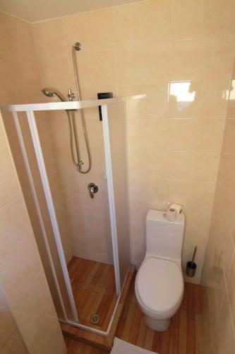 a bathroom with a toilet and a shower at Hotel Santa Maria in Praia