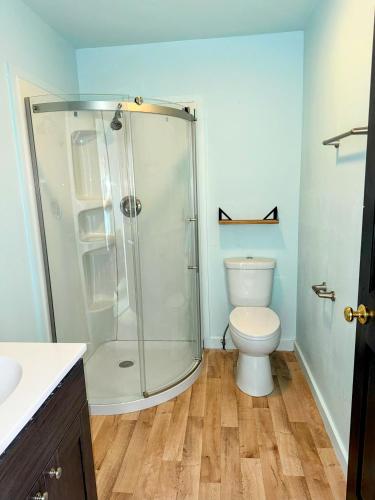 a bathroom with a shower and a toilet at Peninsula Point Lodge in Rapid River