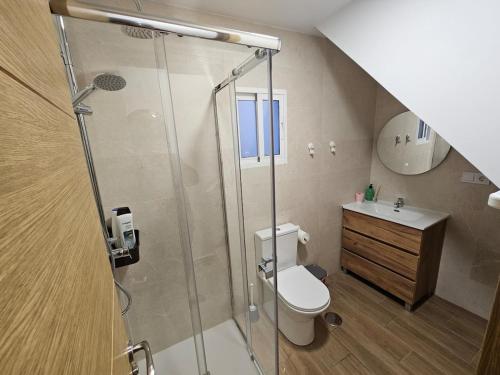 a bathroom with a shower and a toilet and a sink at Casa Hernán Cortés in Málaga