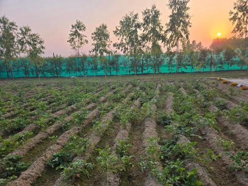 Galeriebild der Unterkunft अमानगढ़ कोर्बेट फार्म स्टे in Jhirna