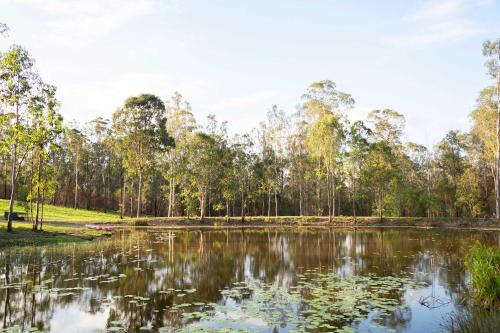een meer in een park met bomen op de achtergrond bij Hidden Camp's Loft House by Tiny Away in Kanighan