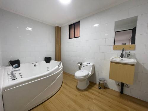 库里科Habitación doble con Jacuzzi的带浴缸、马桶和水槽的浴室