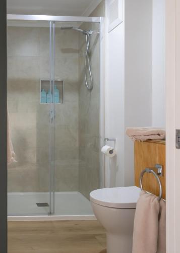 a bathroom with a glass shower with a toilet at Mount Gnomon Farm in Penguin