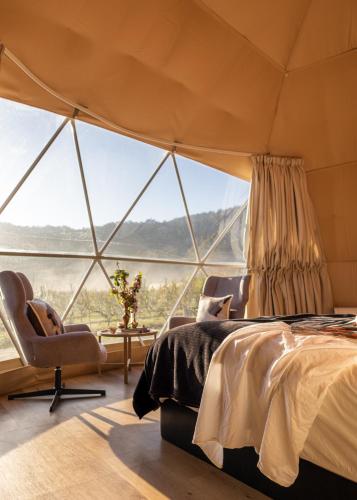 a bedroom in a tent with a bed and a chair at Mount Gnomon Farm in Penguin