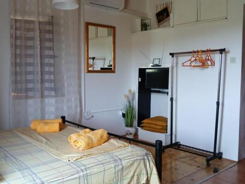 Studio Apartment with Terrace