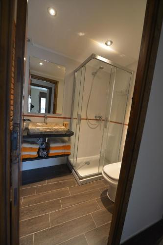 a bathroom with a shower and a sink and a toilet at Apartaments Cal Xic in Bellver de Cerdanya 