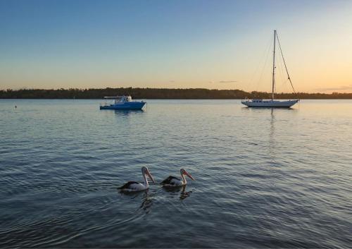 Un paisaje natural cerca del departamento