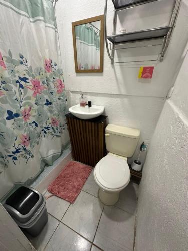 a small bathroom with a toilet and a sink at Apto aire acondicionado 100 m de la playa bicicletas gratis in Puerto Viejo