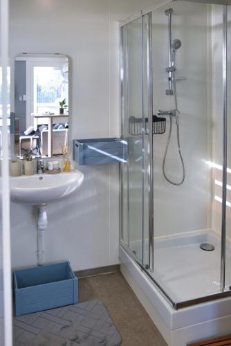 a bathroom with a shower and a sink at Zironzine in Saint-Leu