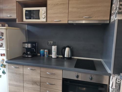 Kuchyň nebo kuchyňský kout v ubytování Pleven View