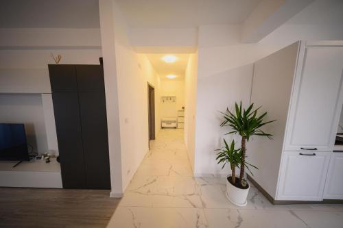 ein Zimmer mit einem Flur mit einer Topfpflanze in der Unterkunft Malvina Apartments Cazare Mures in Târgu Mureș