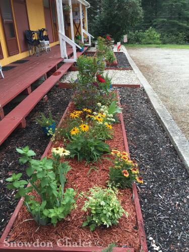 a garden of flowers in front of a porch at Snowdon Chalet Motel in Londonderry