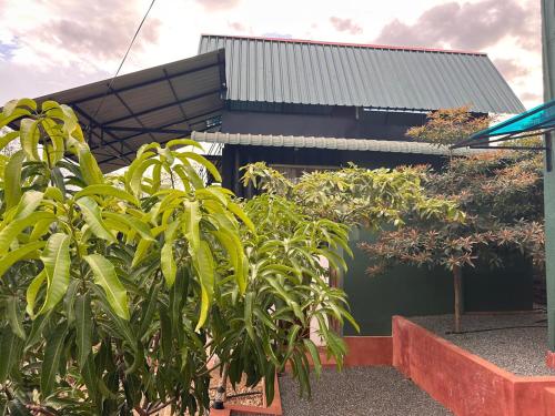 Jardín al aire libre en Breeze Heven