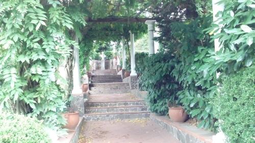 Zahrada ubytování Resort Siranita
