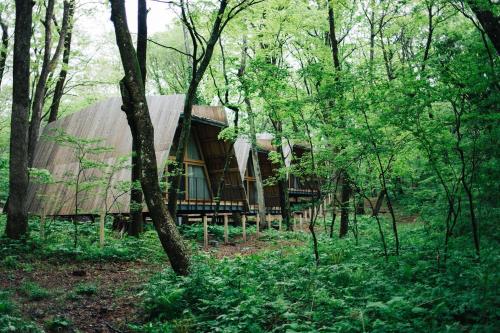 a tree house in the middle of a forest at SANU 2nd Home 北軽井沢 1st in Naganohara