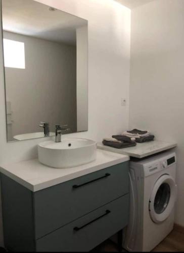a bathroom with a sink and a washing machine at Gîte soline avec piscine chauffée in Saint-Riquier