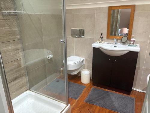 un bagno con doccia, lavandino e WC di Constantia escape with mountain views a Sweet Valley