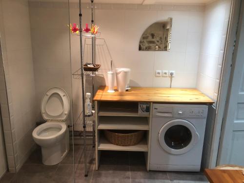 un bagno con WC e lavatrice di Le Carnotzet Du Lac - Hauts D'evian a Larringes